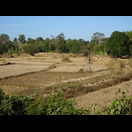 Kleine, abgeerntete Reisfelder neben dem Highway